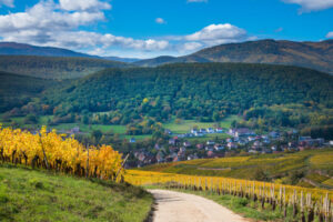 balade alsace ballon alsace cars one